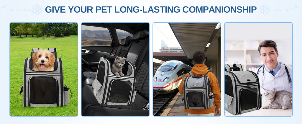 Dogat Pet Backpack Portable  & Breathable Cat/dogs Carrier with Mesh Window Foldable