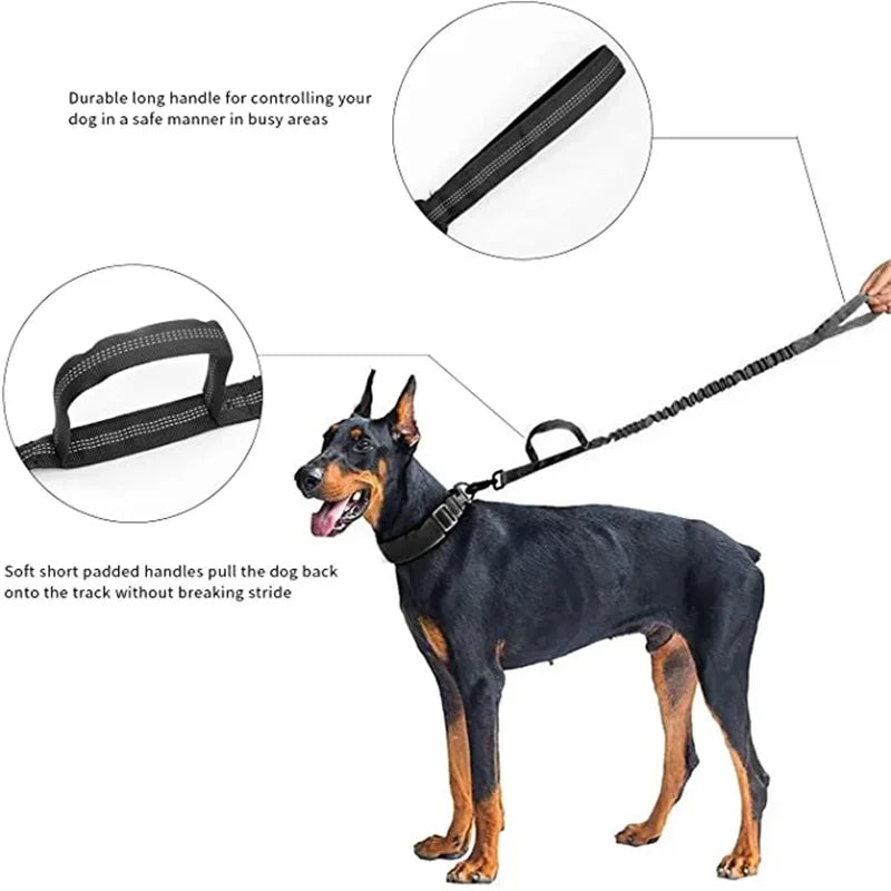 Durable collar with AirTag attachment.