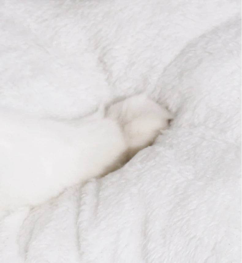 New Cute Mongolian Yurt Pet Nest Home Pet Supplies Semi Closed Panda Nest Fun Cat Playful Autumn and Winter Warm Dog Nest