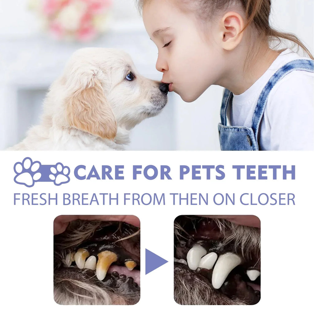 50ml Pet Oral Spray – Say Goodbye to Bad Breath Forever!
