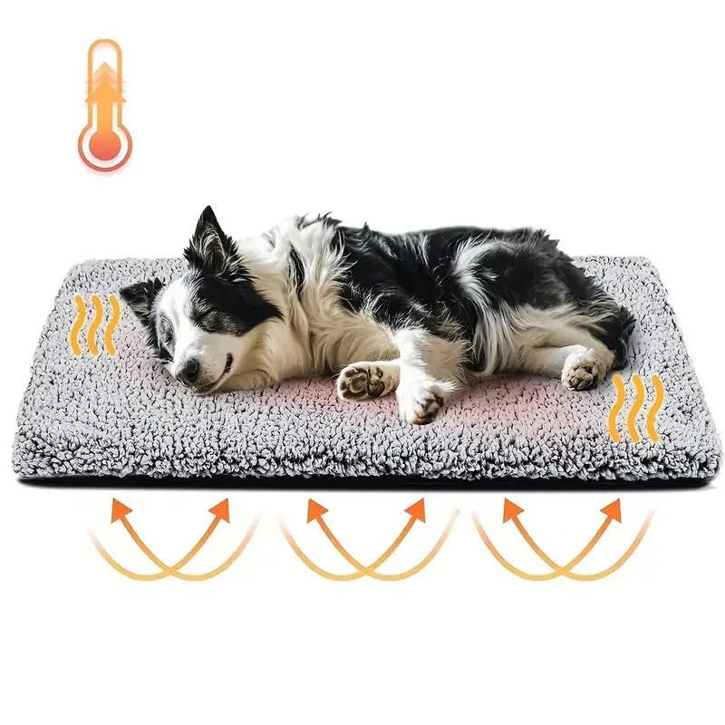Cozy No-Electric Self-Warming Blanket: Keep Your Puppy or Kitten Toasty All Winter!"