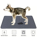 Reusable Hygienic Mat for Dogs and Cats – Waterproof, Super Absorbent, and Washable