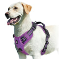 Adjustable Anti-Pull Dog Harness – Soft Padded with Easy-Control Handle