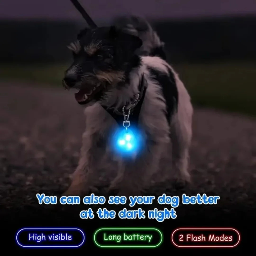 LED Pet Pendant Collar Waterproof Dog Collar Light for Outdoor Walking Safety Silicone LED Dog Collar